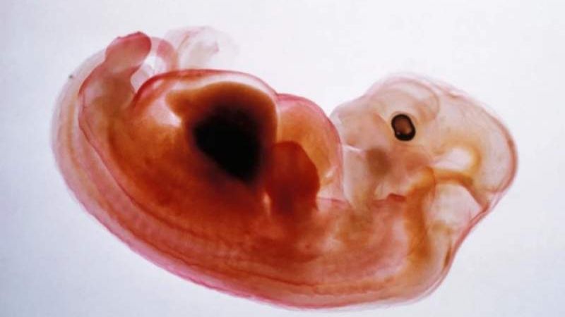 Soluția miraculoasă prin care medicina poate fi revoluționată