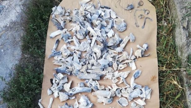 Primele teste de la INML. ADN-ul din oase este al Alexandrei!