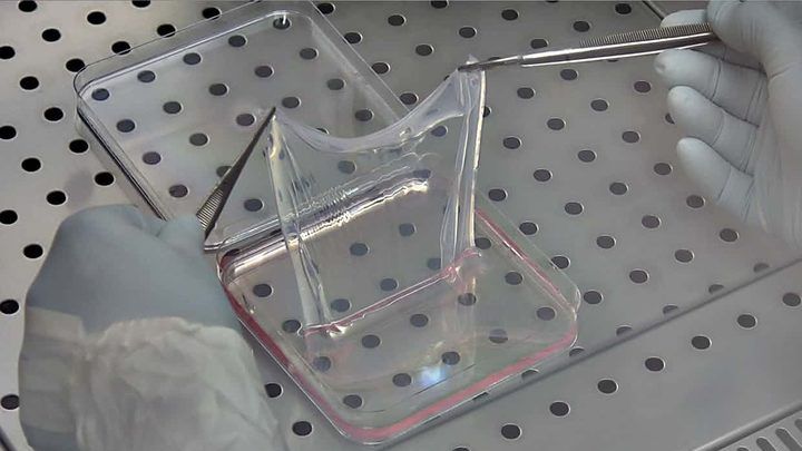 Această invenție ar putea revoluționa modul în care muncim