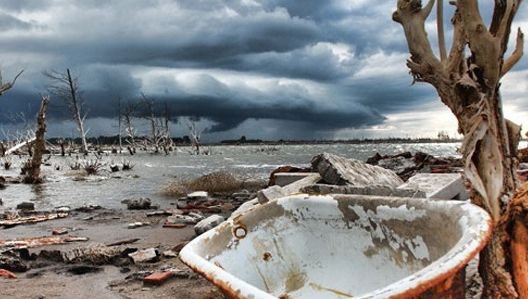 Scenariul de coșmar, explicat de cercetători: ce s-ar întâmpla dacă ar dispărea oamenii de pe Pământ