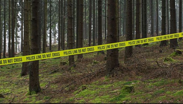 Șase persoane cu vârsta între 62 și 85 de ani, arestate pentru "acte sexuale" în pădure