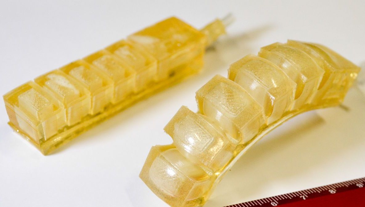 Cea mai bizara creație a cercetătorilor: roboții comestibili din gelatină. Ce gust au?