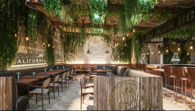 Trei vedete de la Hollywood, proprietarii unui cafenele "mai speciale"