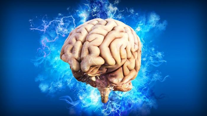 Mecanismul extrem de complex prin care creierul nostru auto-corectează tot felul de lucruri