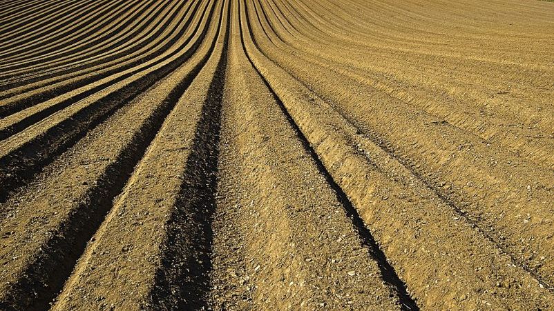 Schimbarea legii vânzării terenurilor agricole, pe ultima sută de metri