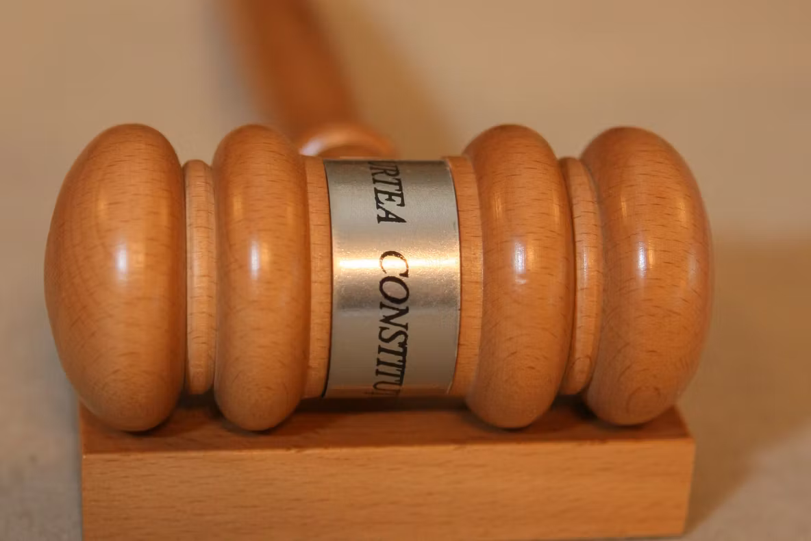 Viorica Dăncilă și Theodor Paleologu, drum liber spre Cotroceni