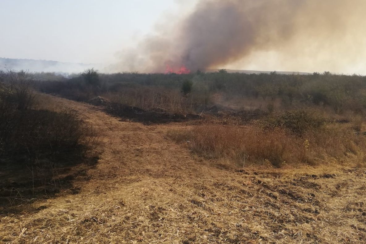 VIDEO Incendiu puternic în Dolj. Au ars 80 de hectare de arbuști și vegetație