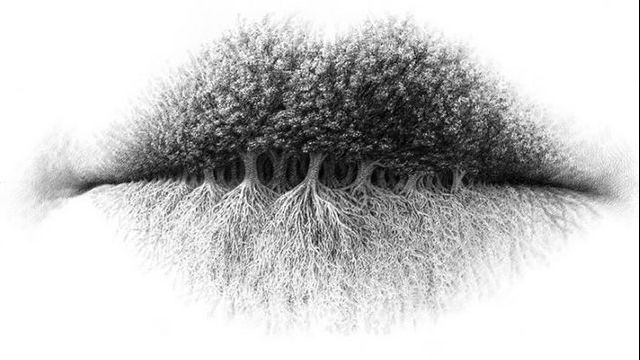 Această imagine îți dezvăluie latura ascunsă din tine