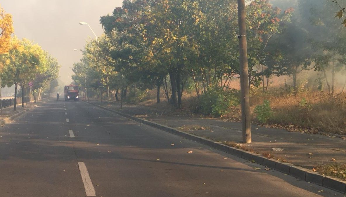 Incendiu de vegetație, pe Splaiul Unirii. Intervenție de amploare a pompierilor 