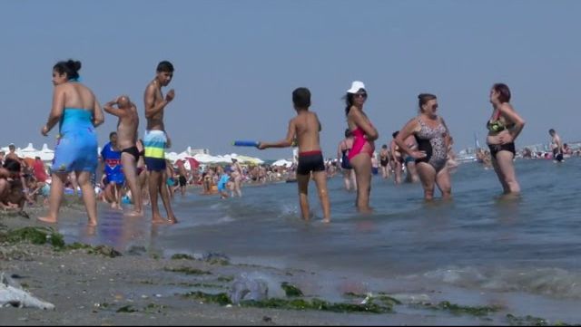 Invazie de meduze pe litoral(Video)