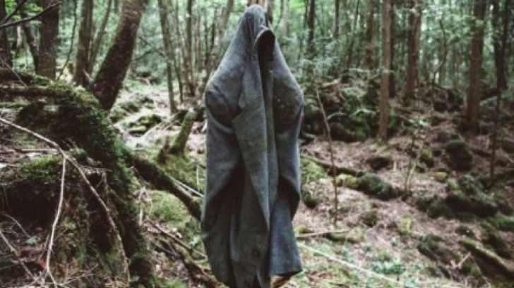 Cea mai terifiantă pădure din lume ascunde un SECRET ORIBIL! Autorităţile sunt depășite! Copacii...