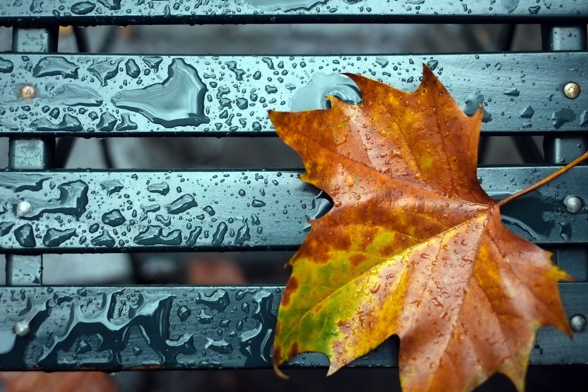 Gata! Toamna își intră în drepturi. Prognoza meteo pentru următoarele zile! 