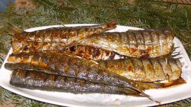 Cel mai sănătos pește. Este de 1500 de ori mai eficient decât medicamentele