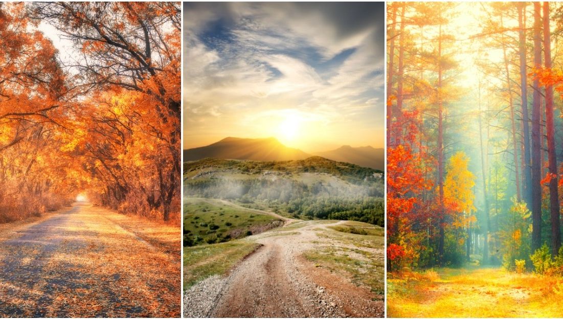 Testul toamnei: Alege un drum și află cum va fi viața ta