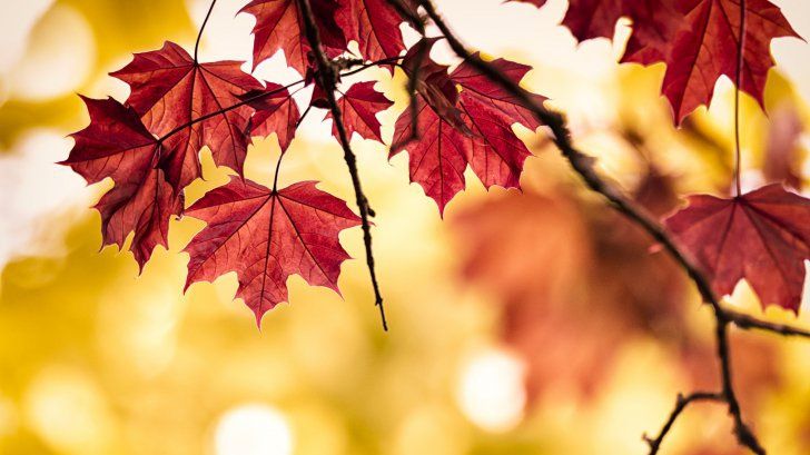 Echinocțiul de toamnă 2019 - Începe toamna astronomică