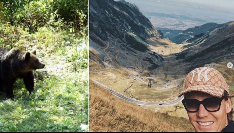 Cine a fost fascinat de Transfăgărășan