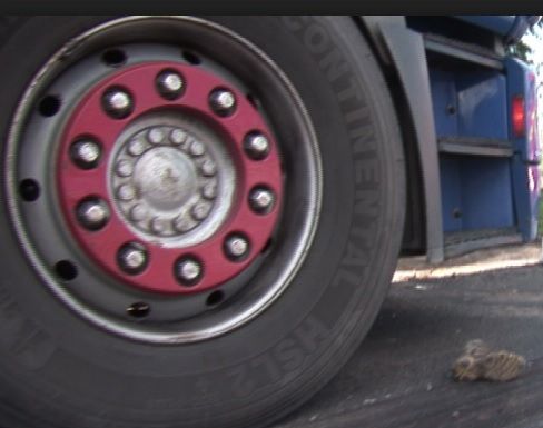 Accident cumplit, în jud. Timiș. Un mort, după un impact nimicitor cu un TIR