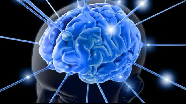 Ce este amigdala cerebrală și cum te ajută în situații-limită