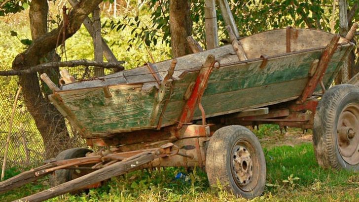 Un tânăr de 23 de ani a murit după ce a căzut dintr-o căruţă: TRAGEDIE în Cluj