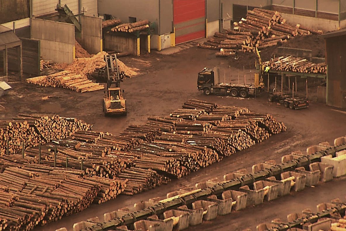 Schweighofer se plânge de prețul prea mare al lemnului din România