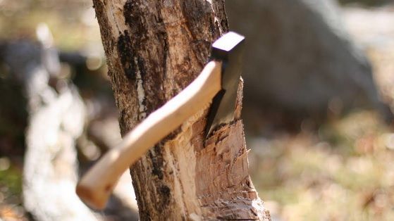 Prima reacţie a procurorilor din Maramureş în cazul pădurarului ucis. Ce s-a găsit la autopsie 