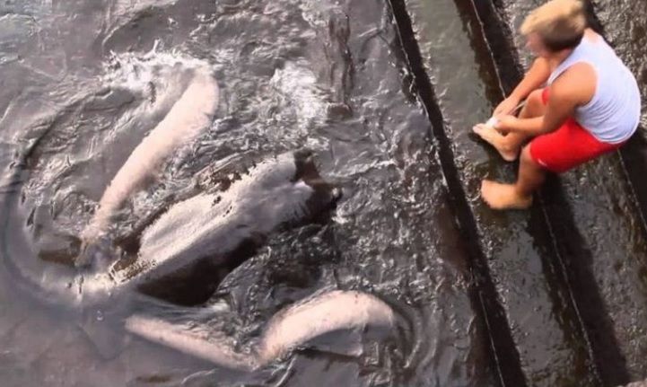 Copilul a fost filmat jucându-se cu "noul prieten". Când și-au dat seama ce e creatura, au înghețat!