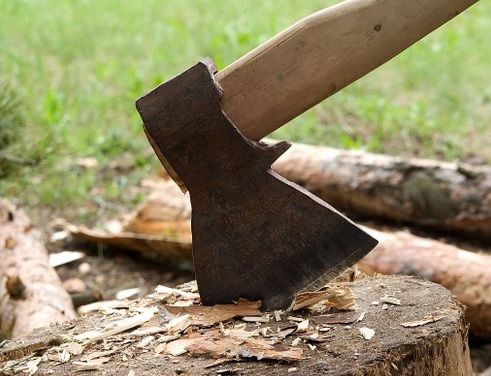 Strivit de copac, a sunat la 112. Bărbatul avea doar câinele alături. Ce a urmat