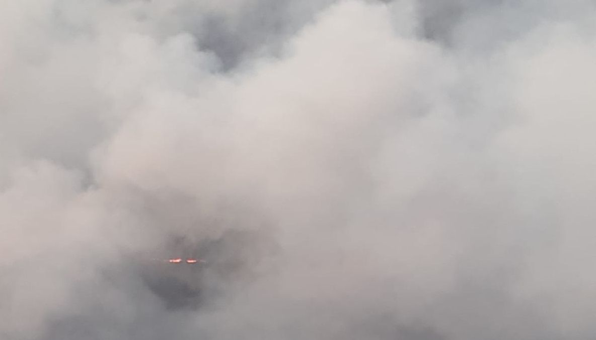 Arde PĂDUREA în Munții Apuseni. Zeci de pompieri se luptă cu focul de ore întregi