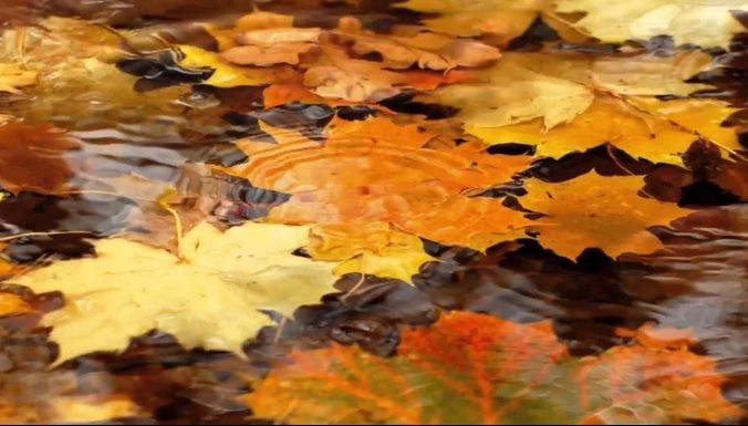 Prognoza meteo, revizuită. Schimbări spectaculoase: cum va fi vremea până pe 25 noiembrie