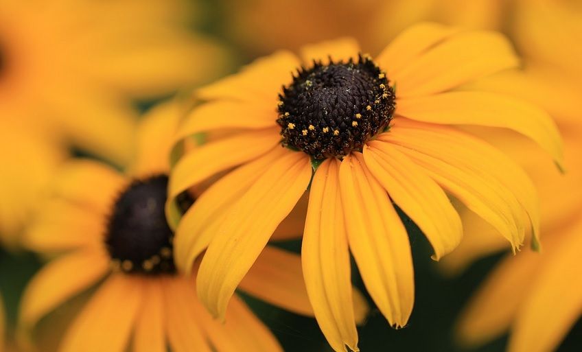 Prognoza pe două săptămâni. Val de aer cald peste România. Când revin ploile