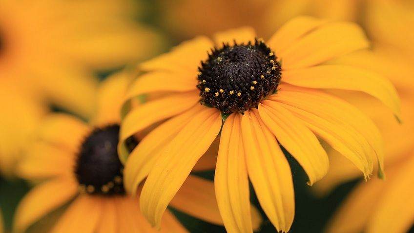 Toamnă cu temperaturi record! Când revin ploile și furtunile. Meteorologii au făcut marele ANUNȚ