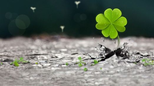 4 zodii care fac bani în toamna 2019. Se îmbogățesc peste noapte