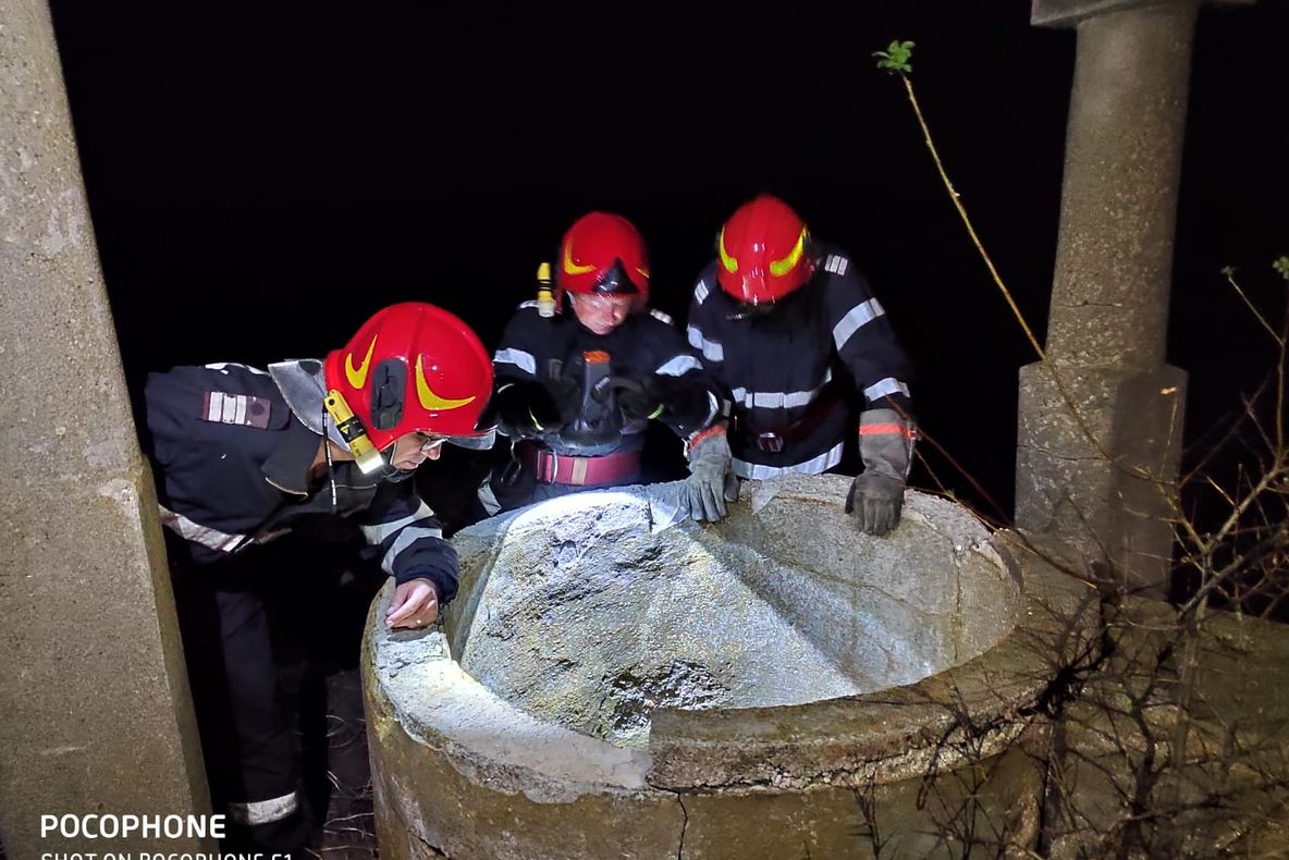 O căţeluşă şi puii săi, salvaţi de pompierii din Calafat dintr-o fântână de 30 de metri 