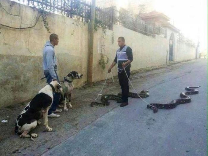 Ce s-a întâmplat imediat după acest moment din foto. Pozele absolut șocante ale zilei