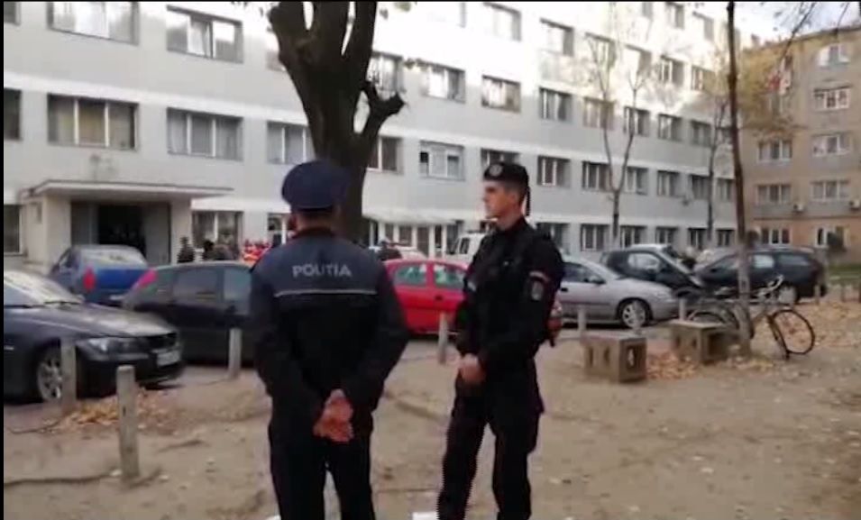 Informații șocante ies la iveală în scandalul dezinsecției din Timișoara