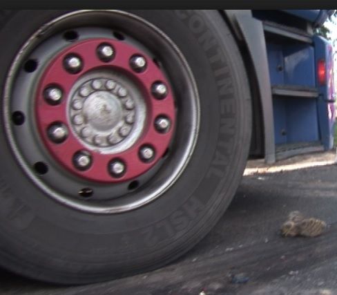 Accident grav, în jud. Cluj: impact devastator între un TIR și două mașini