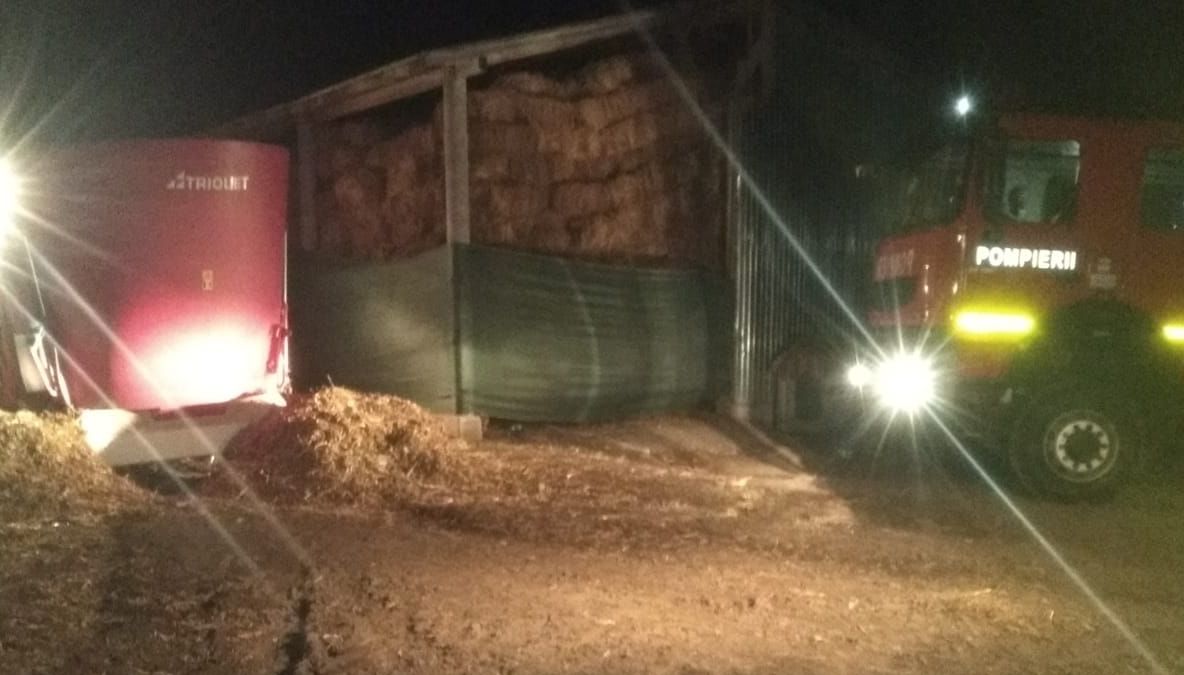 VIDEO | Șocant! Și-a găsit sfârșitul într-un mod cumplit