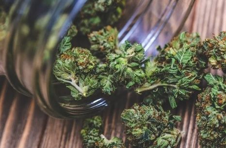 Legalizarea canabisului în scop medicinal, adoptată tacit de Senat