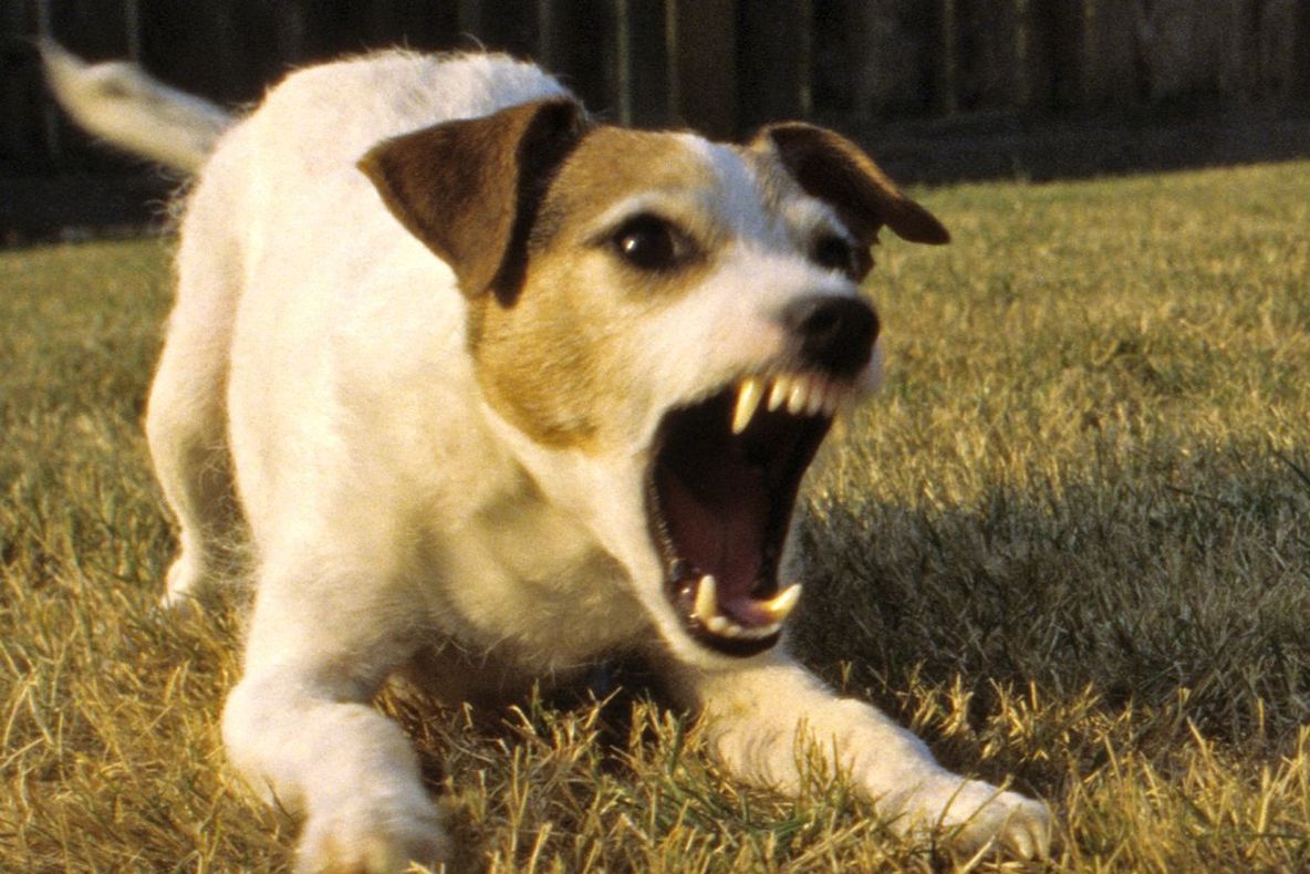 Caz șocant într-o școală din Reșița: Trei elevi, răniți