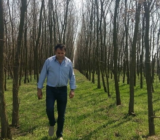 Halucinant! Fermier amendat de Garda de Mediu, după ce a plantat 40.000 de arbori!
