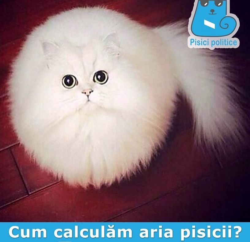 Cele mai amuzante glume și meme-uri cu Viorica Dăncilă și aria cercului