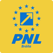 PNL în ședință! Dizolvarea Parlamentului se află pe agenda liberalilor 