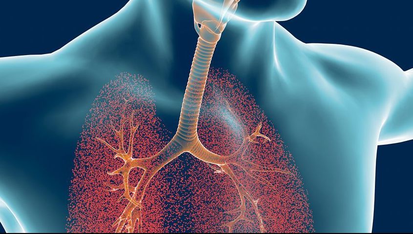 Toţi fumătorii ar trebui să mănânce această legumă de două ori pe săptămână
