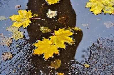 ALERTĂ METEO. Meteorologii au emis cod GALBEN de fenomene periculoase
