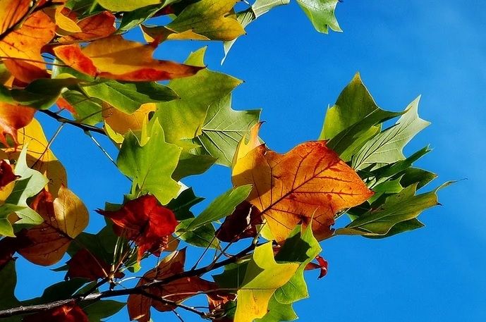 Prognoza meteo pe o lună. Schimbări spectaculoase: cum va fi vremea până pe 16 decembrie