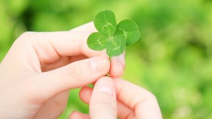 Horoscop financiar 4-10 noiembrie. Norocul îi surâde acestei zodii: grijile bănești se risipesc