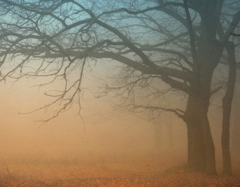 Veste incredibilă de la meteo: Cum va fi vremea duminică, de alegerile prezidențiale 2019? 