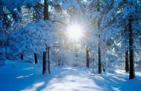 Prognoza meteo pentru IARNĂ. Meteorologii au făcut anunțul: când lovesc ninsorile și gerul