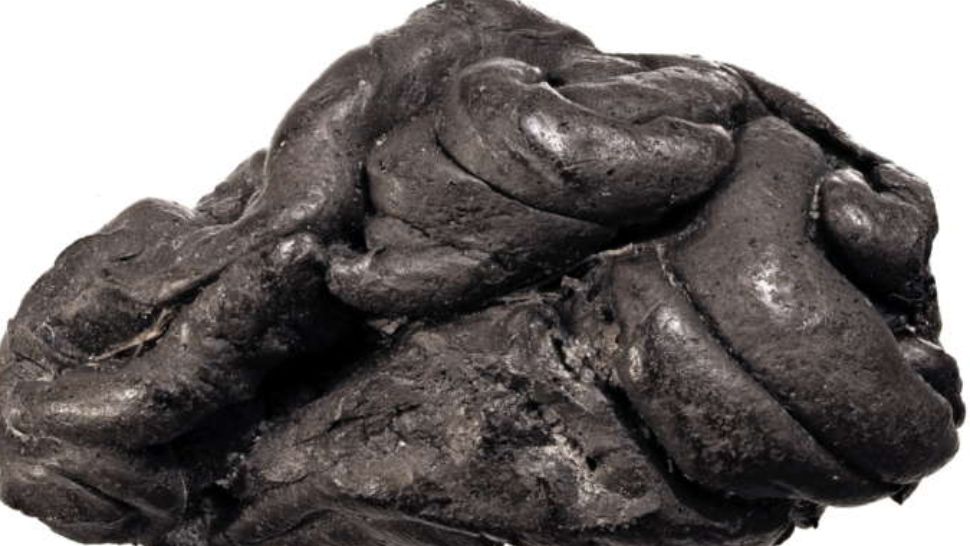 Banala gumă de mestecat revoluționează istoria umanității