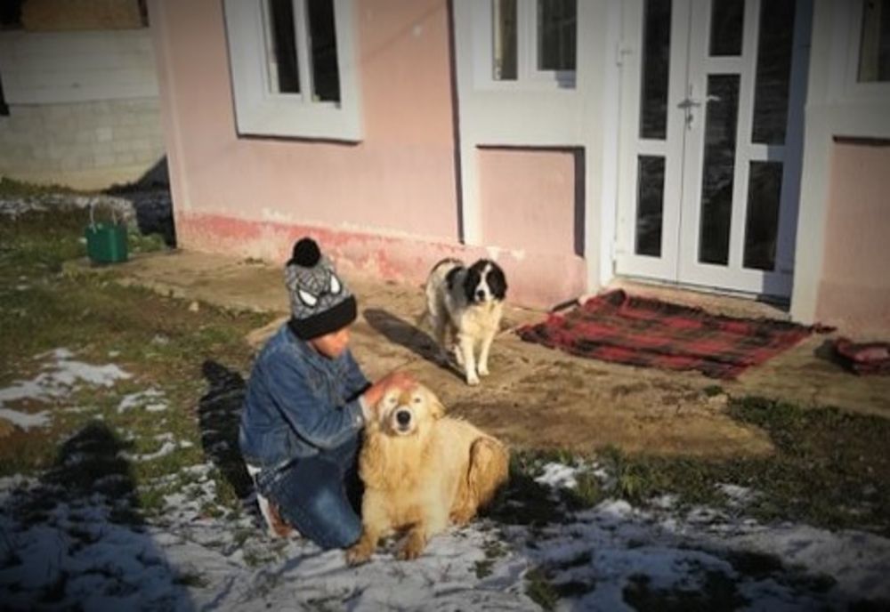 Câine salvat de pompieri dintr-o fântână adâncă de șapte metri 